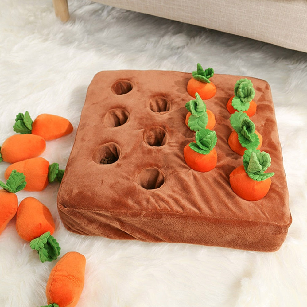 Giocattolo tappetino attività per fiutare carote per cani