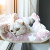 Hamaca colgante para gato y mascota con montaje en ventana