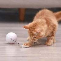 Giocattolo con palla per gatti rotolante con piume magnetiche