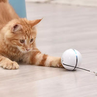 Rollend kattenbalspeeltje met magnetische veren
