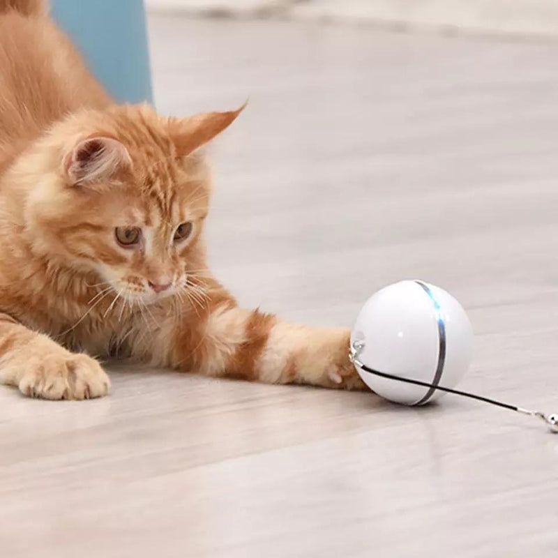 Jouet boule roulante pour chat avec plumes magnétiques