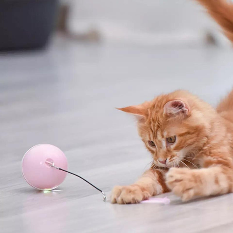 Rollendes Katzenballspielzeug mit magnetischen Federn