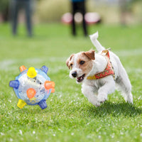 Springender Aktivierungsball für Hunde